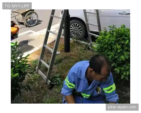 人墙规则详解：9.15米距离与犯规判罚标准