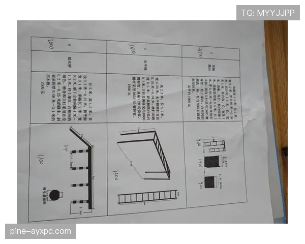 垂直起跳规则解析：什么情况下算犯规与判定标准