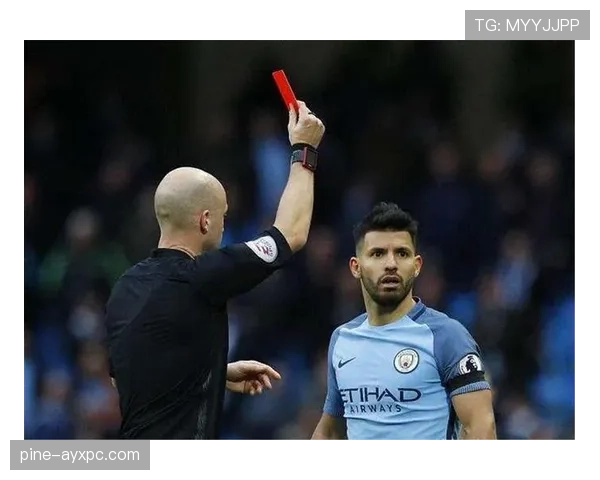 技术区规则详解：裁判如何判定违规行为与处罚标准