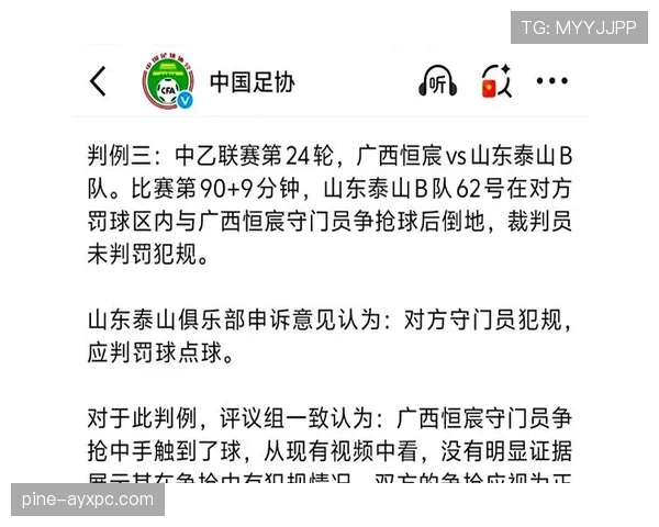 比赛申诉的规则流程与裁判判罚的最终效力解析